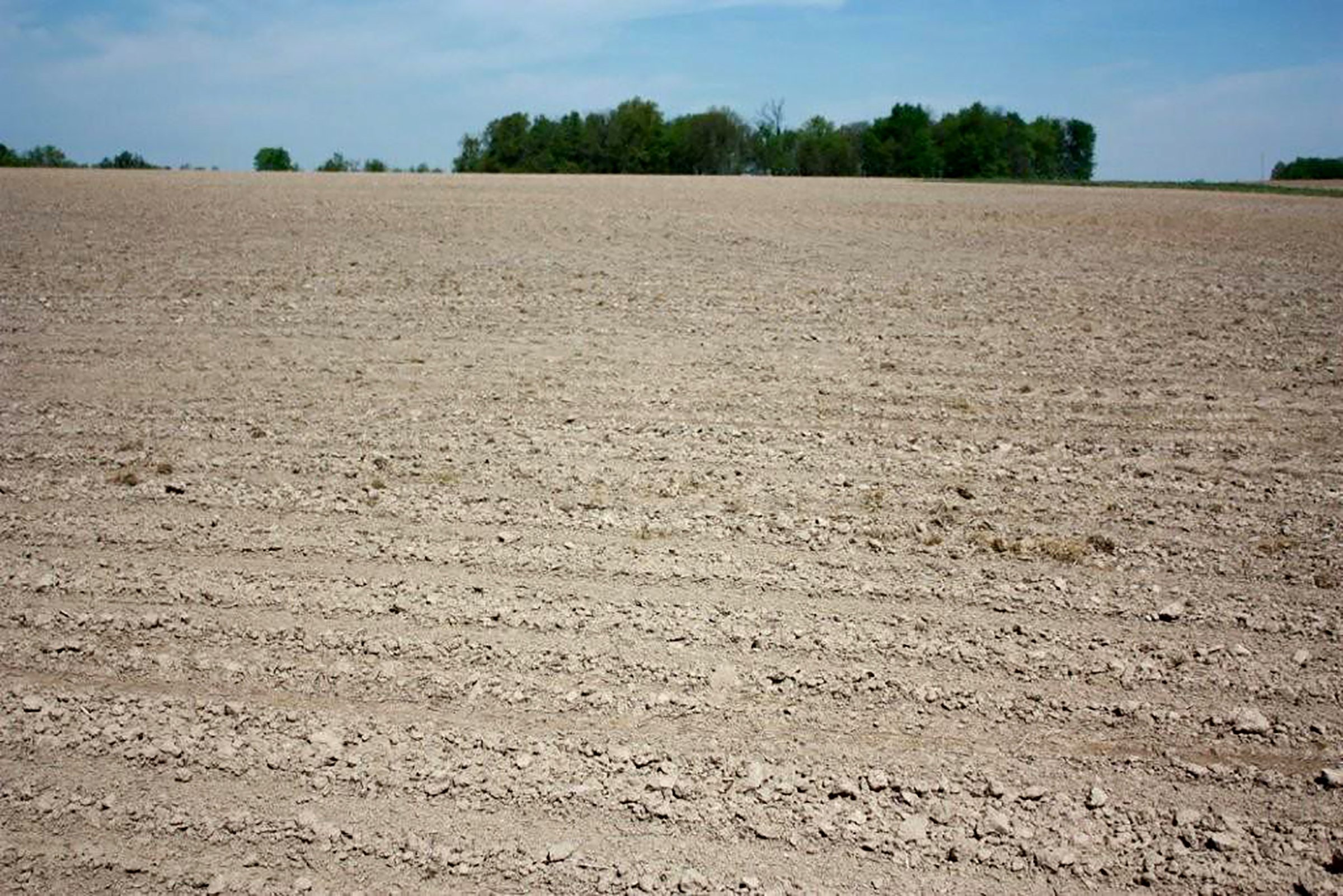 Property photo 6 - REAL ESTATE AUCTION - 126+/- ACRES OFFERED IN 4 TRACTS IN GREENE COUNTY, INDIANA